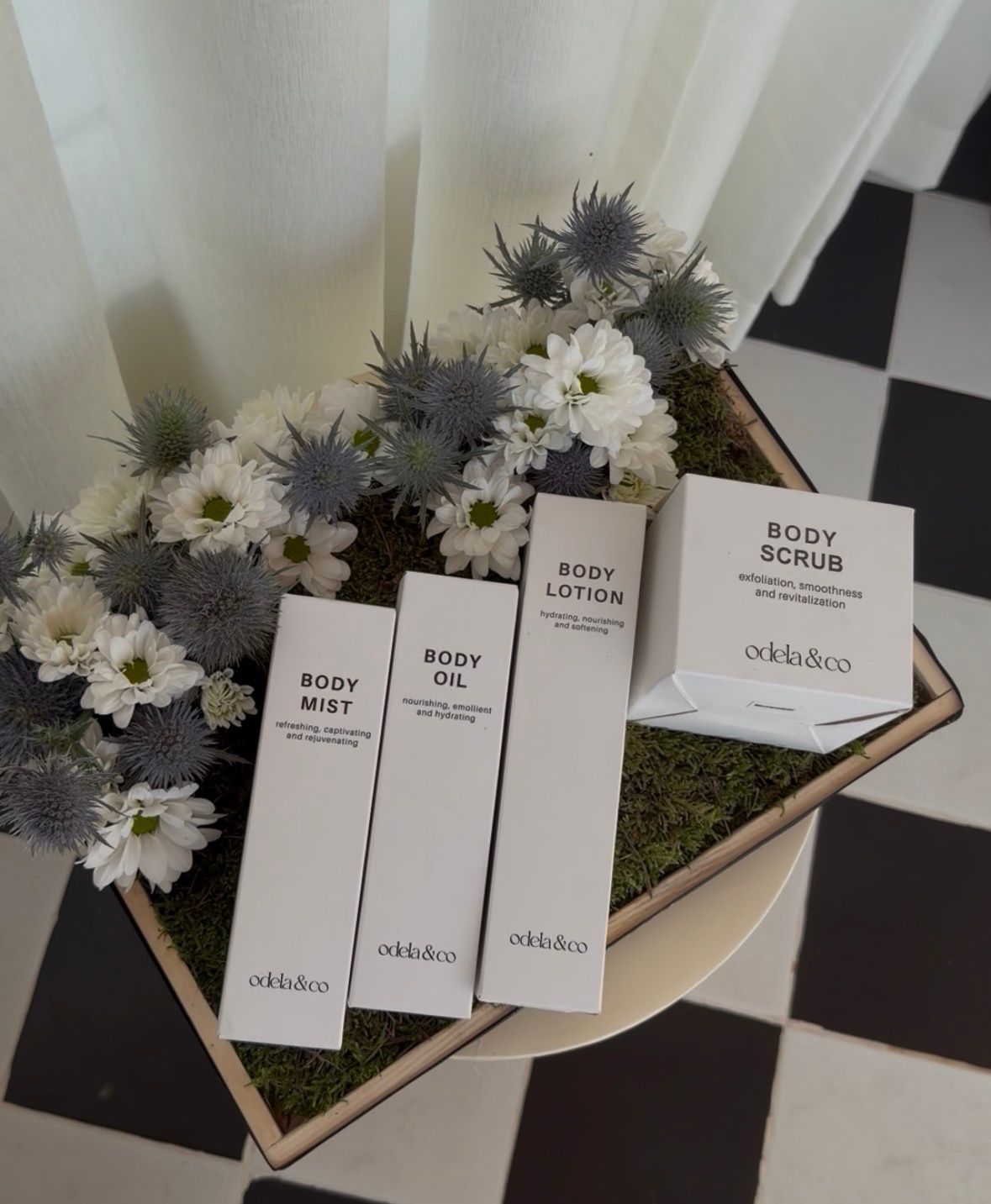 ODELA X GRACE Petite Arrangement