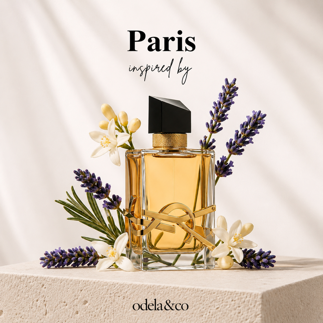 French | Body Set Collection
