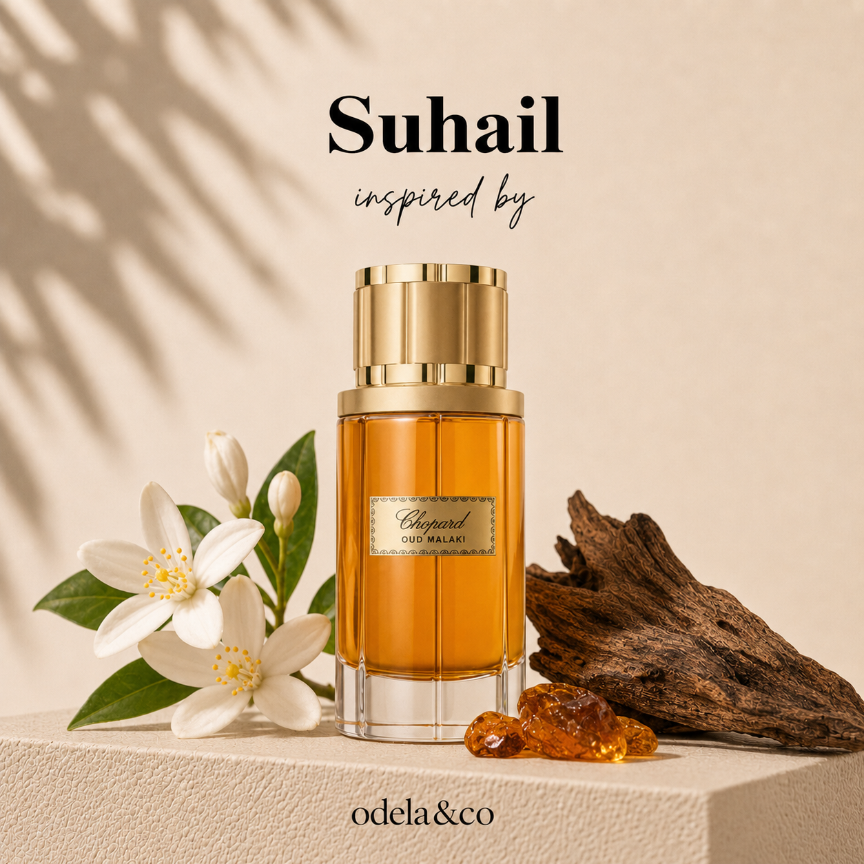 عطور رجالية | مجموعة مجموعة الجسم